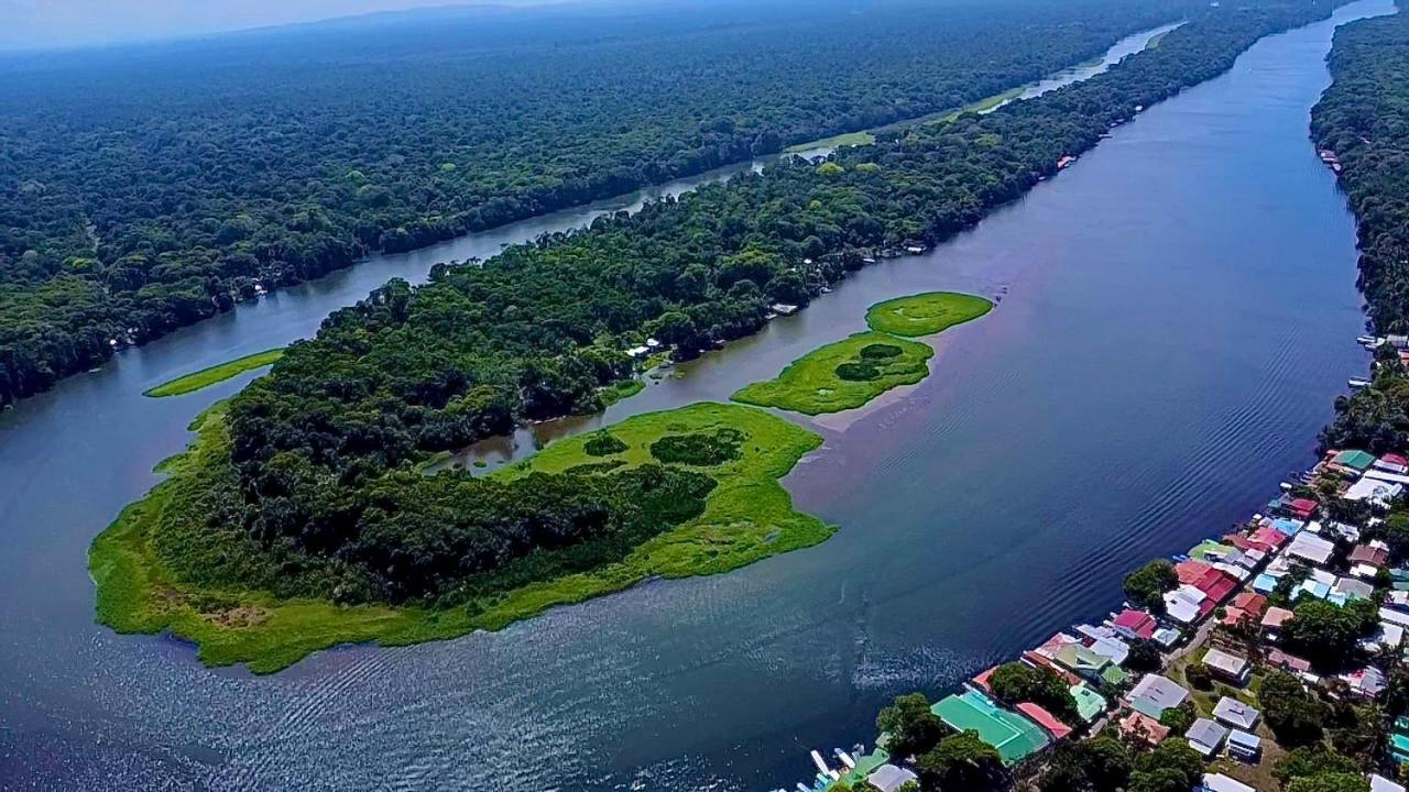 H Et L Leilighet Tortuguero Eksteriør bilde